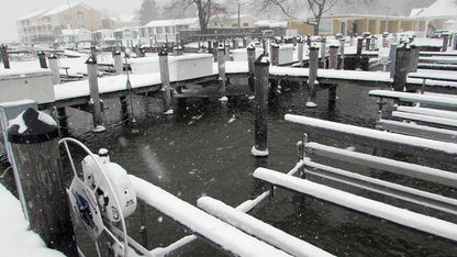 Scott Aerator Slinger De-icer