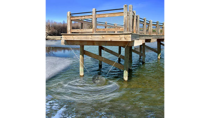 Scott Aerator Slinger De-icer